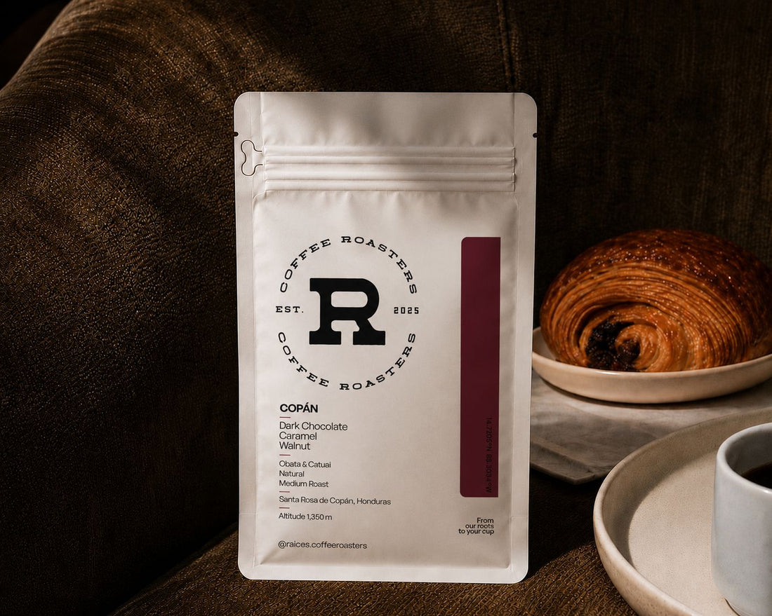 Copán: Bold, Grounded, and Built for Every Brew Method