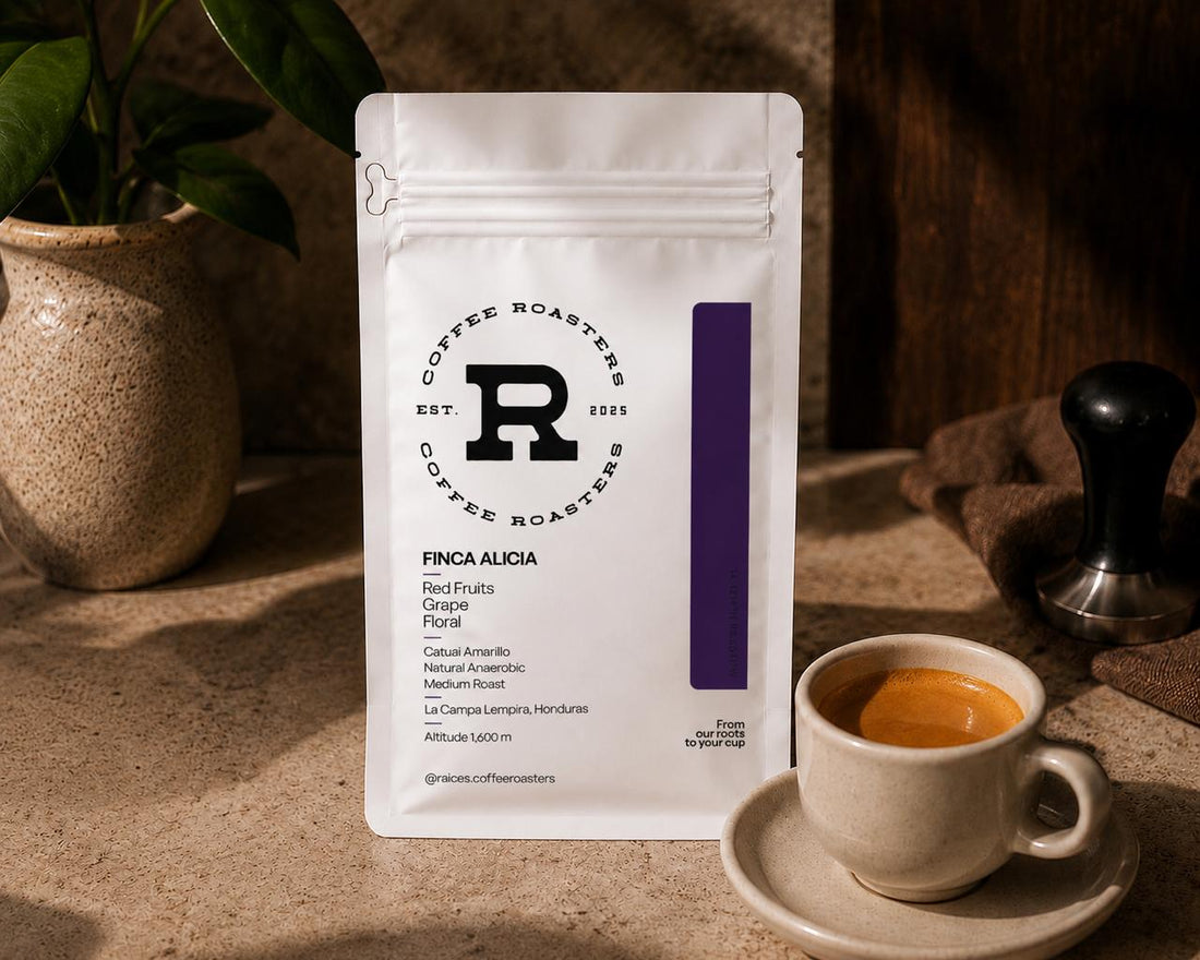 Finca Alicia: The 50-Pound Lot That Almost Didn't Make It to Your Cup