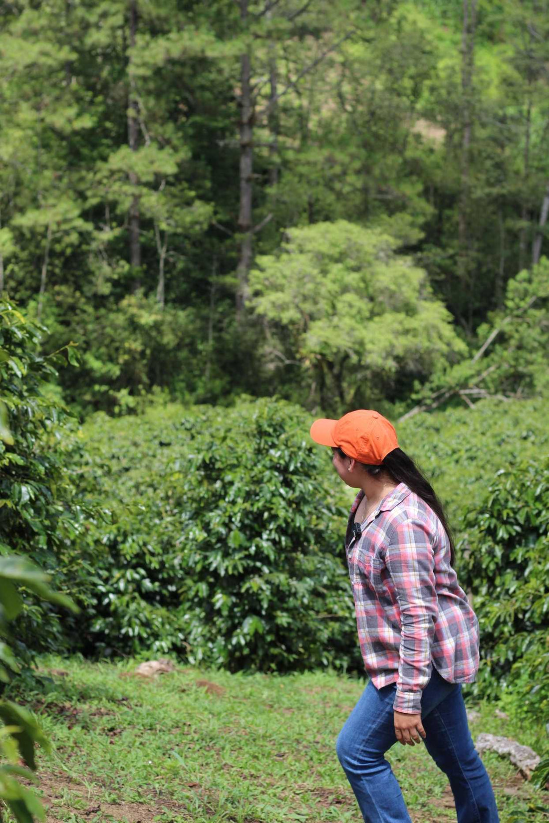 Meet Yojana: The Daughter Who Took Over Nacimiento