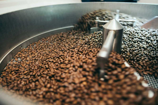 Fresh roasted Honduran coffee at origin from Raíces Coffee Roasters