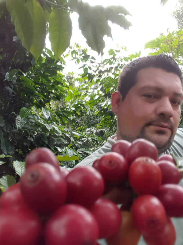 Luis Herrera
