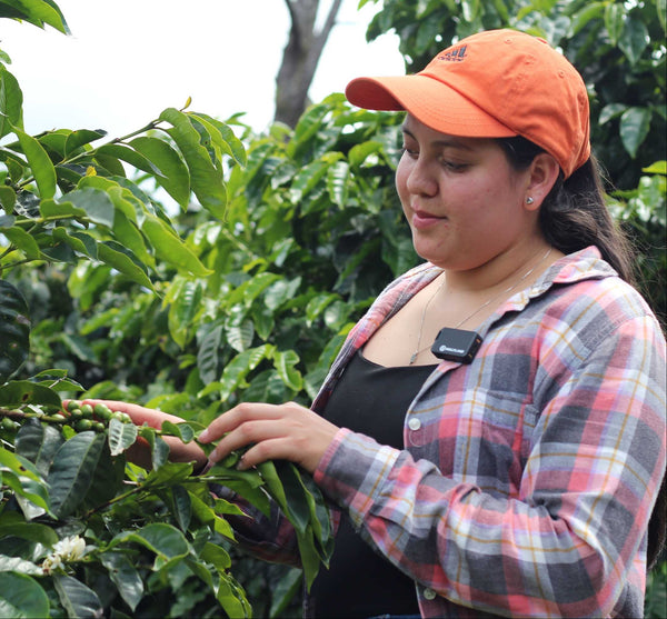 Yojana Bautista