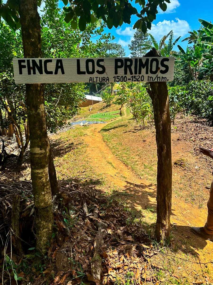 Finca Los Primos in Santa Bárbara, Honduras — a tribute to Juan Carlos Vásquez’s organic harvest and smooth Parainema flavor.