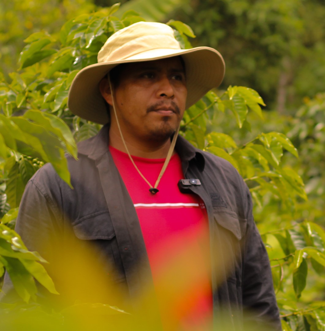 Portrait of Nelson Domínguez, Honduran coffee producer from Marcala – El Trueno coffee